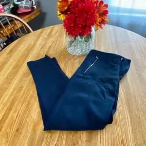 Navy Blue Zara Stretch Dress Pants